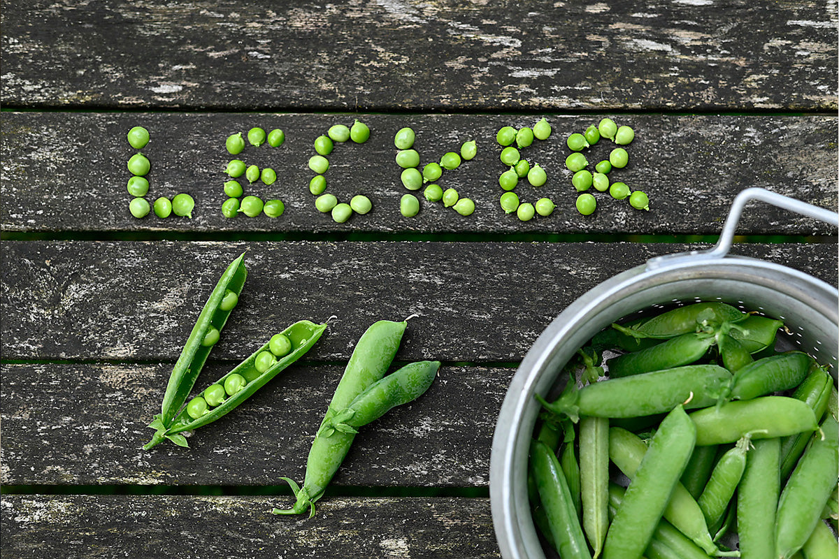 Pflanzenpower erklärt: Was macht Erbsenprotein so wertvoll?